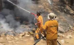 Karadağ Ormanı’nda Korkutan Yangın!